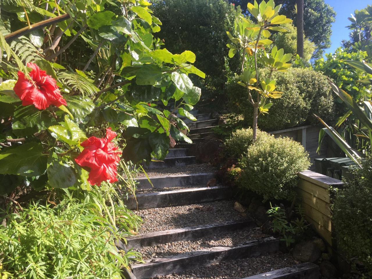 Fantail B&B 타이루아 외부 사진